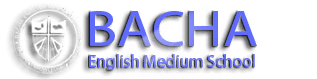 Bacha English Medium School