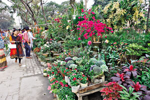 Allahar Daan Nursery